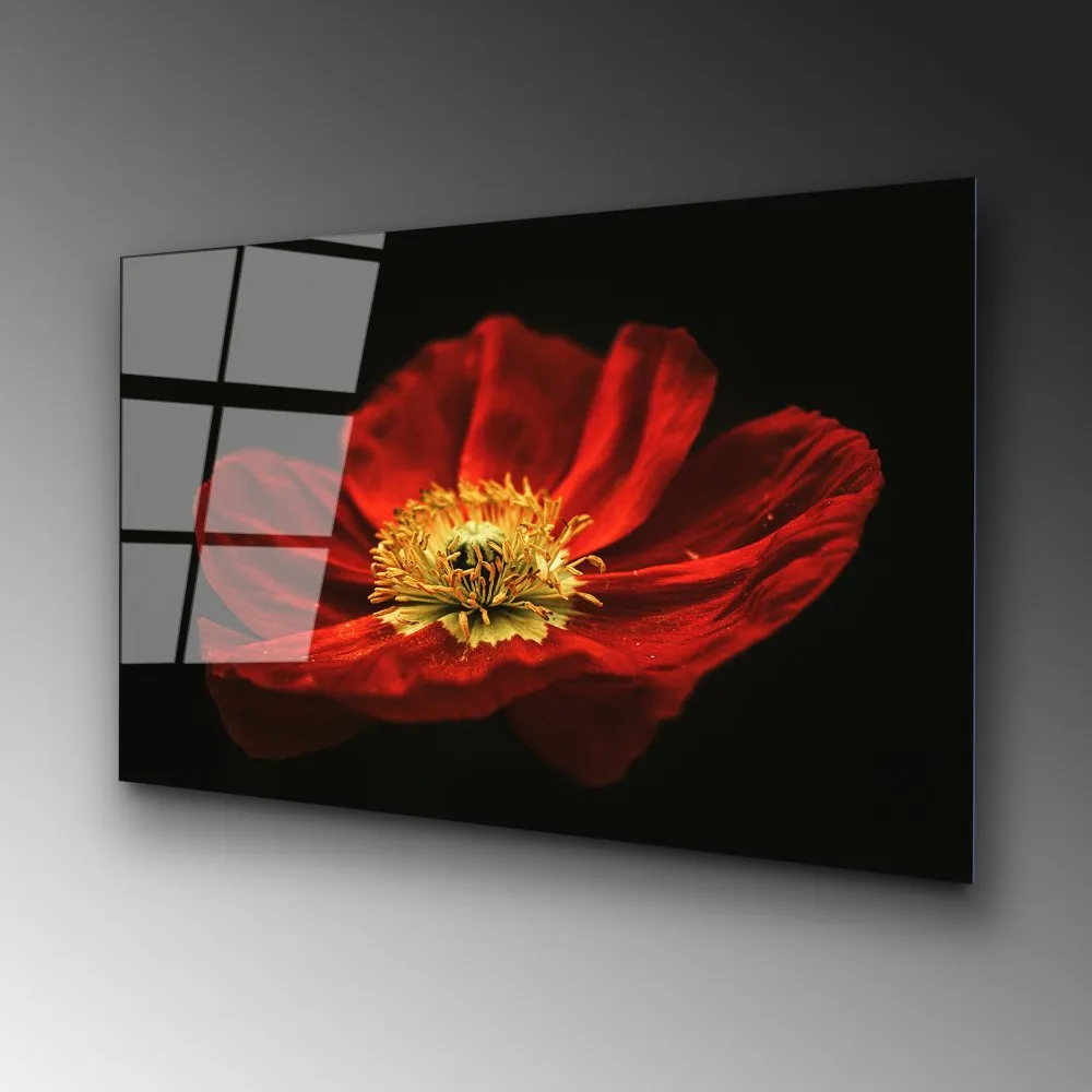 dekorativna slika od kaljenog stakla Cvetan cvet crvenog maka (UV 204) 70 x 100cm