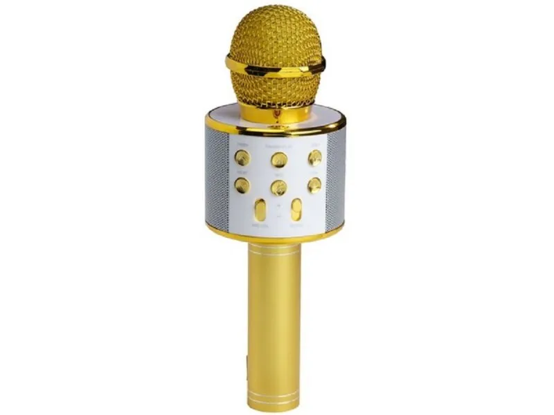 Mikrofon KMS-20G MK2