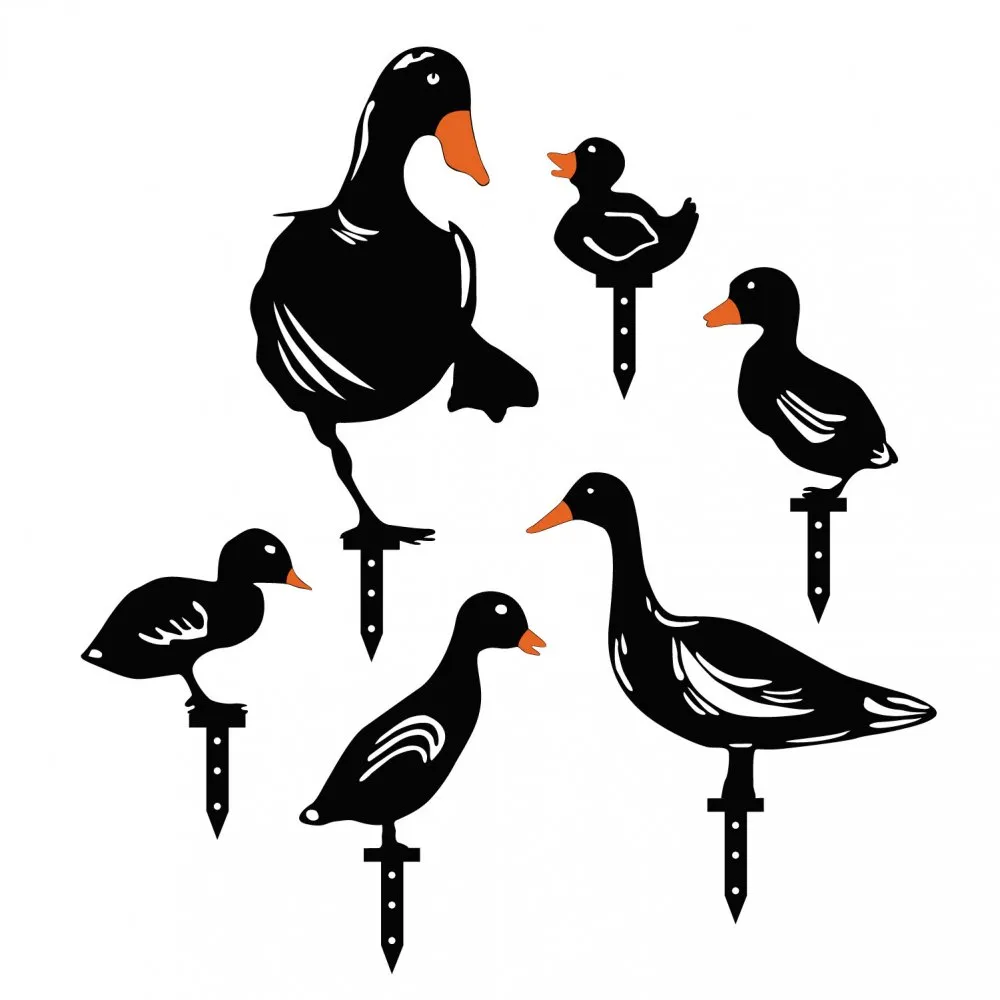 Ducks