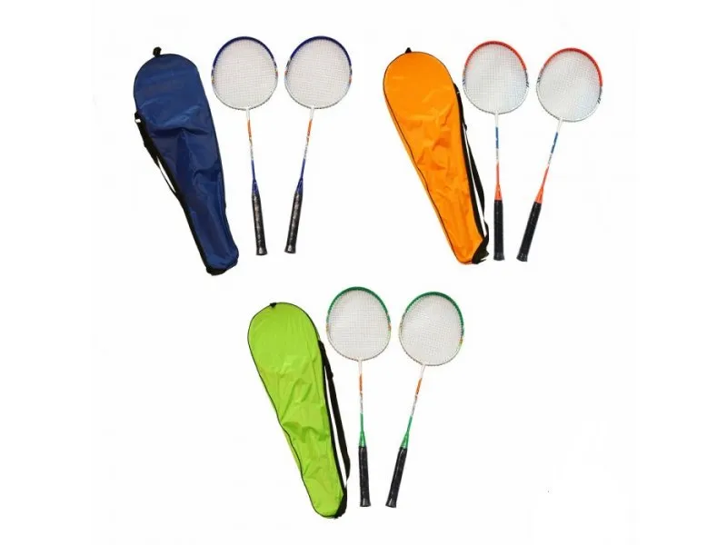 Badminton deluxe