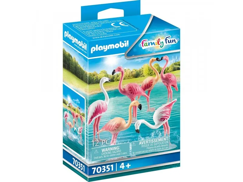 Family Fun Flamingosi