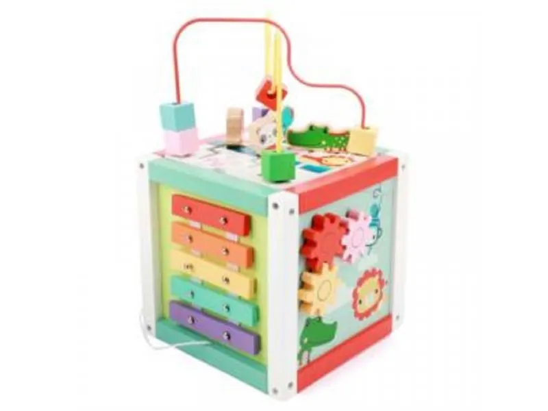 Drvena Activity Kocka 5U1 72026A