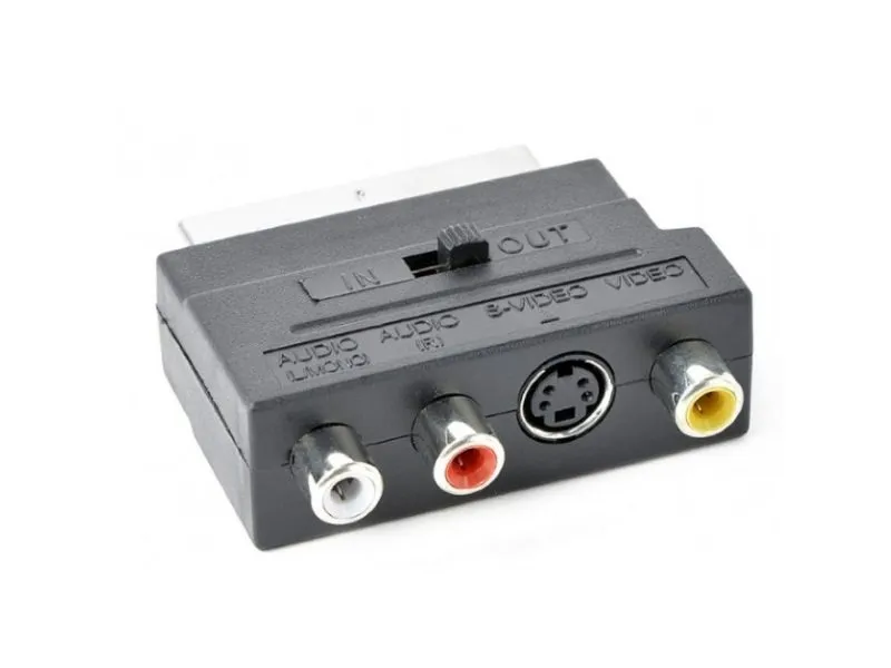 CCV-4415 3 X RCA and 1 X S-Video plugs on one side and SCART on other side