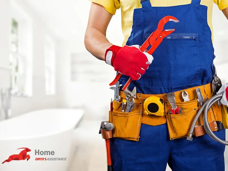 Home Assistance- Standard