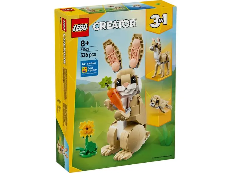 31162 Slatki zeka