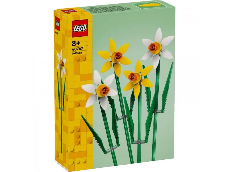 40747 Narcisi