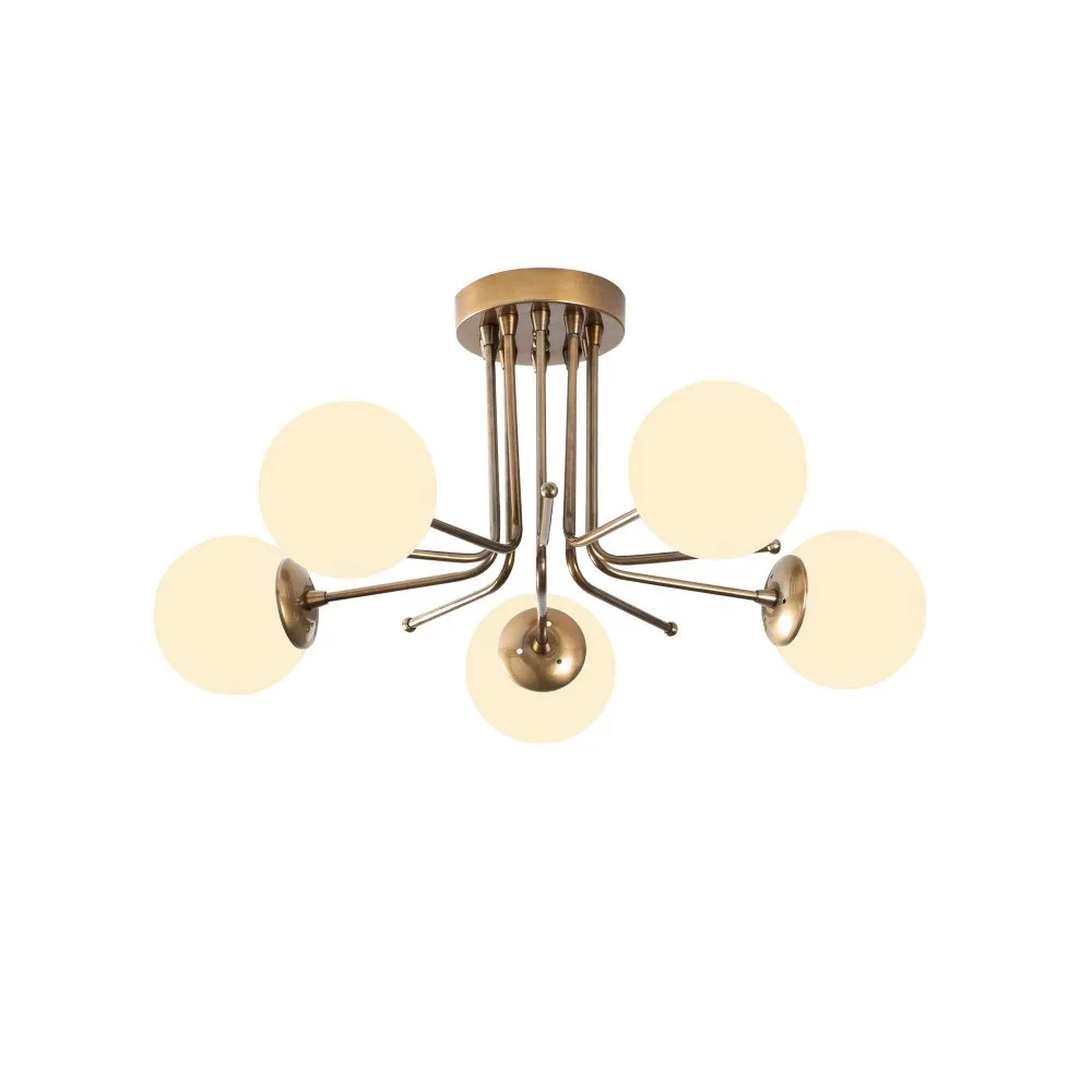 Luster Daisy 146 AV2