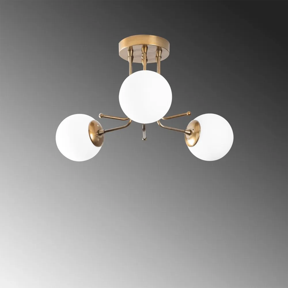 Luster Daisy 146 AV3