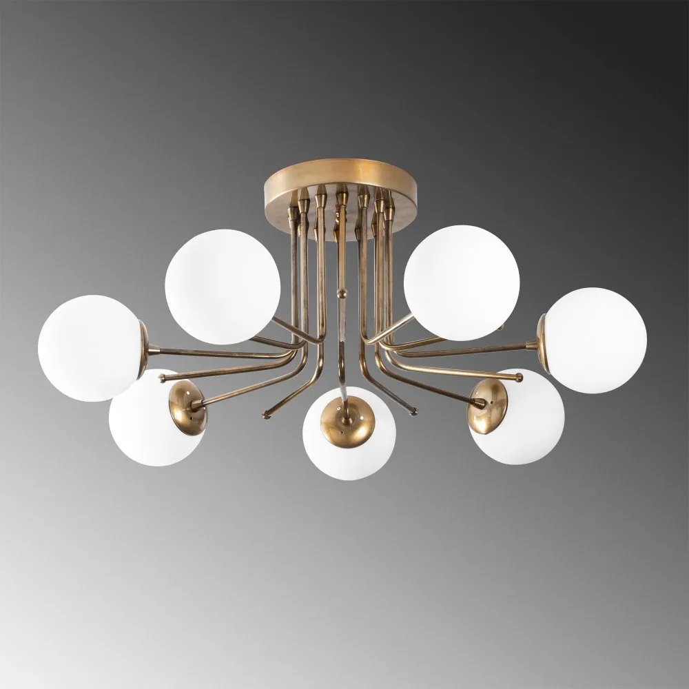 Luster Daisy 146 AV