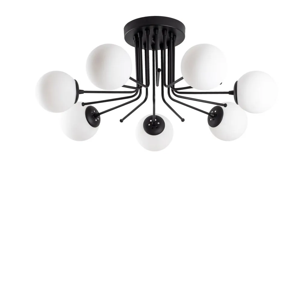 Luster Daisy 147 AV