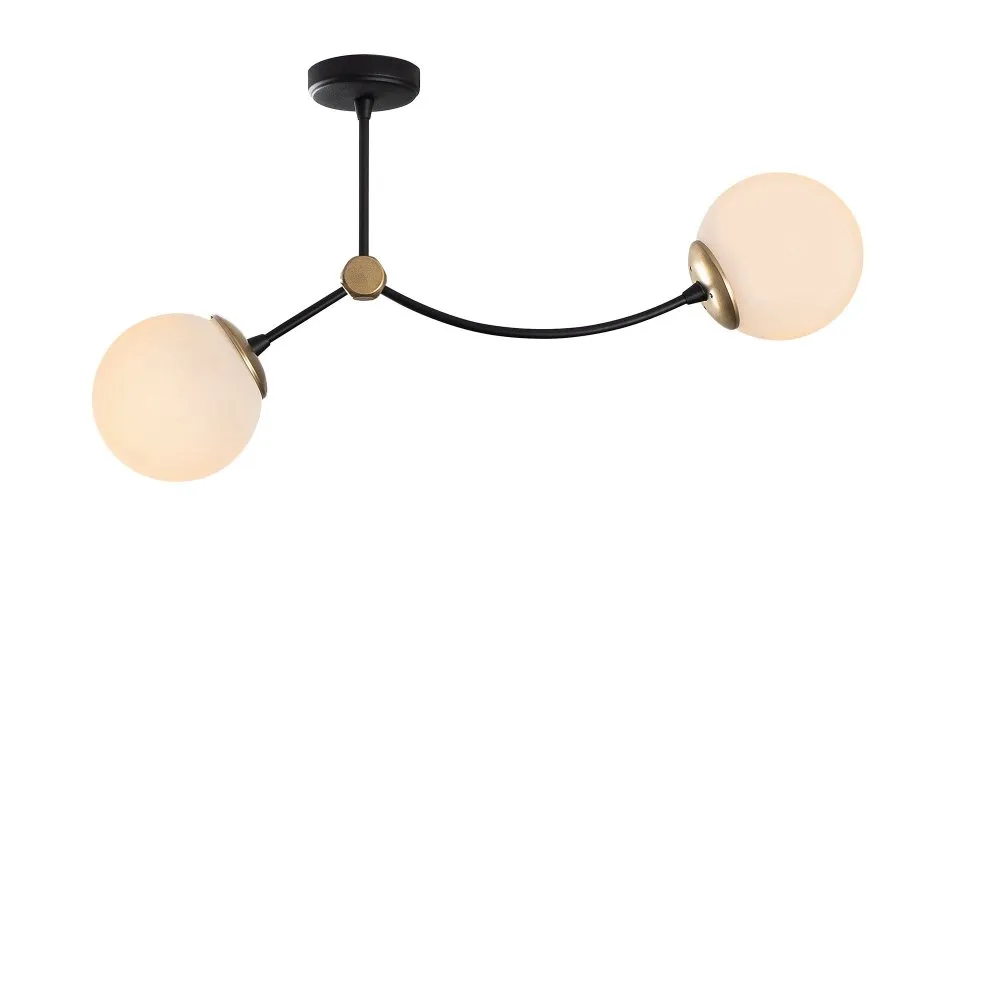 Luster Kromozom 1011