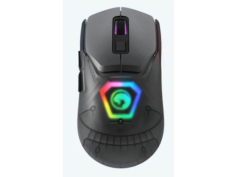 Z FIT PRO G1W GY