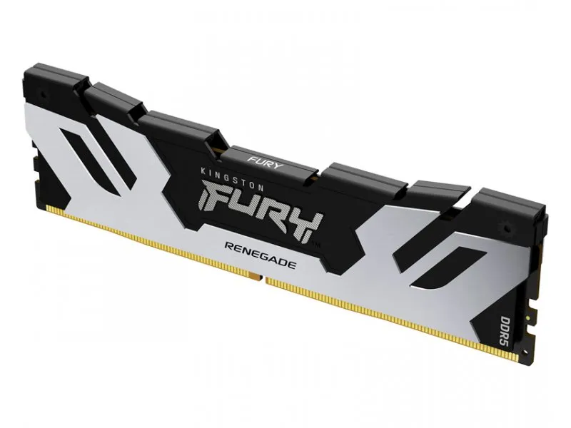 DIMM DDR5 16GB 7200MT/s Fury Renegade Silver KF572C38RS-16