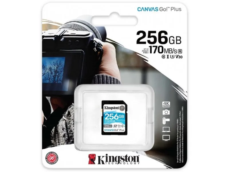 256GB SDXC Canvas Go! Plus (SDG3/256GB)