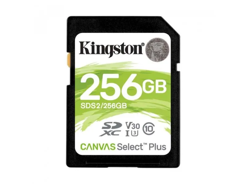 Select Plus Klasa10 256 GB SD