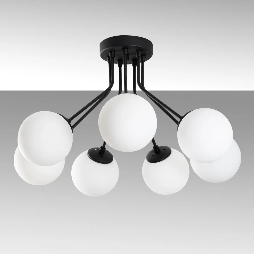 Orıon 13966 crni luster
