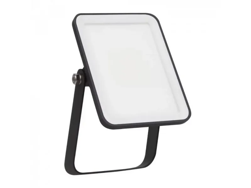 Reflektor Essential 10W 6500K Crni