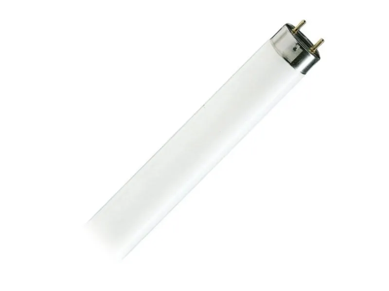 Fluo cev TL-D 36W/54-765 PS242