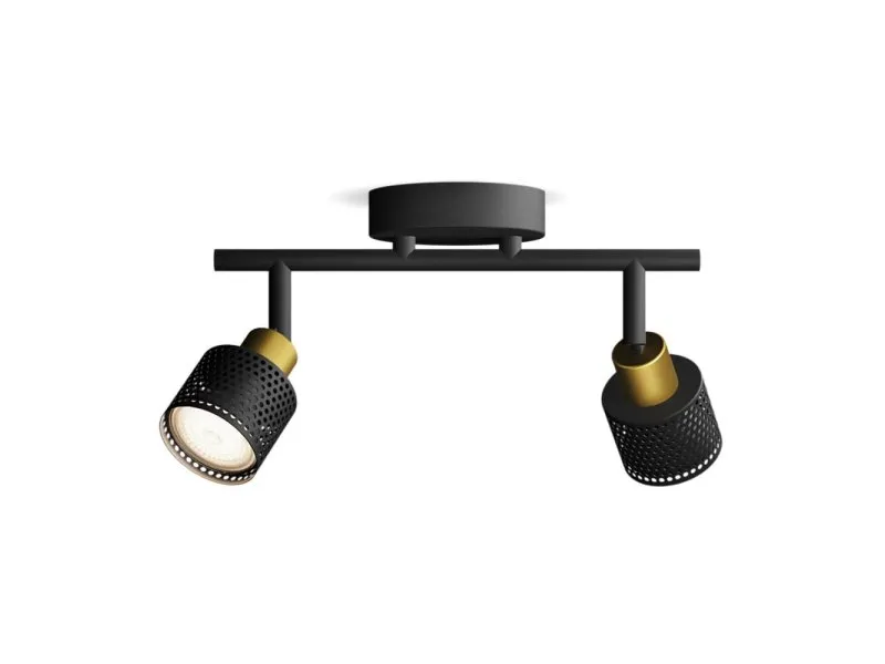 Spot svetiljka Niall GU10 2 x 5W