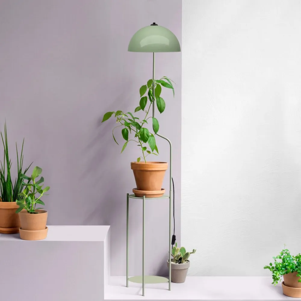 Podna lampa 241312