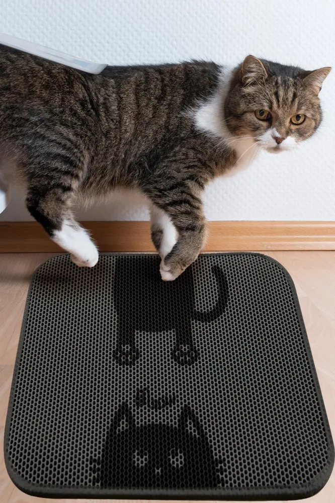 Prostirka za mačke Bounce Cat Mat