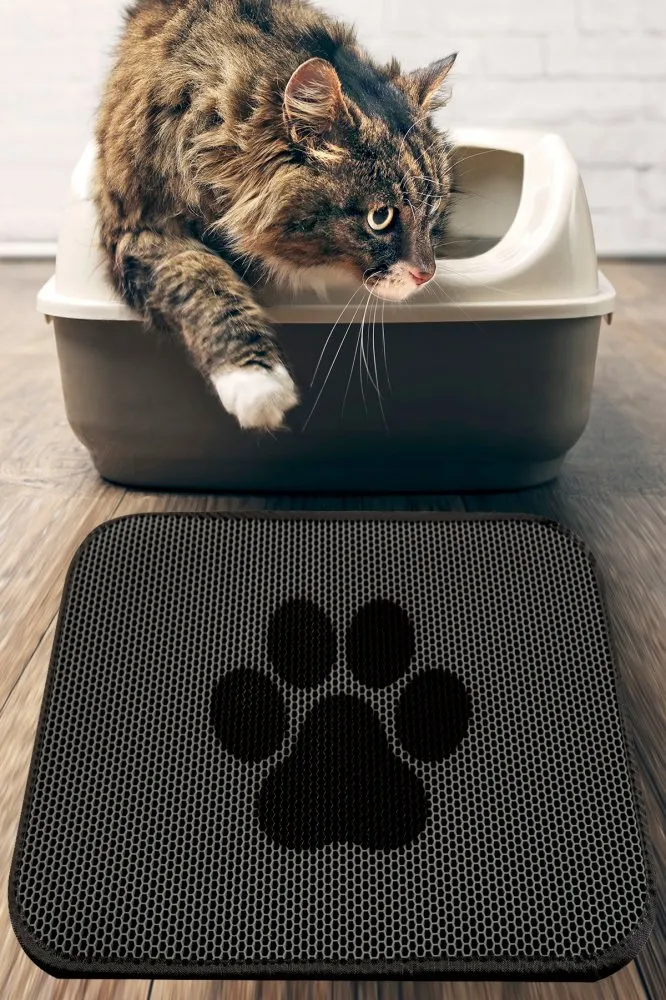 Prostirka za mačke Cat Paw Mat