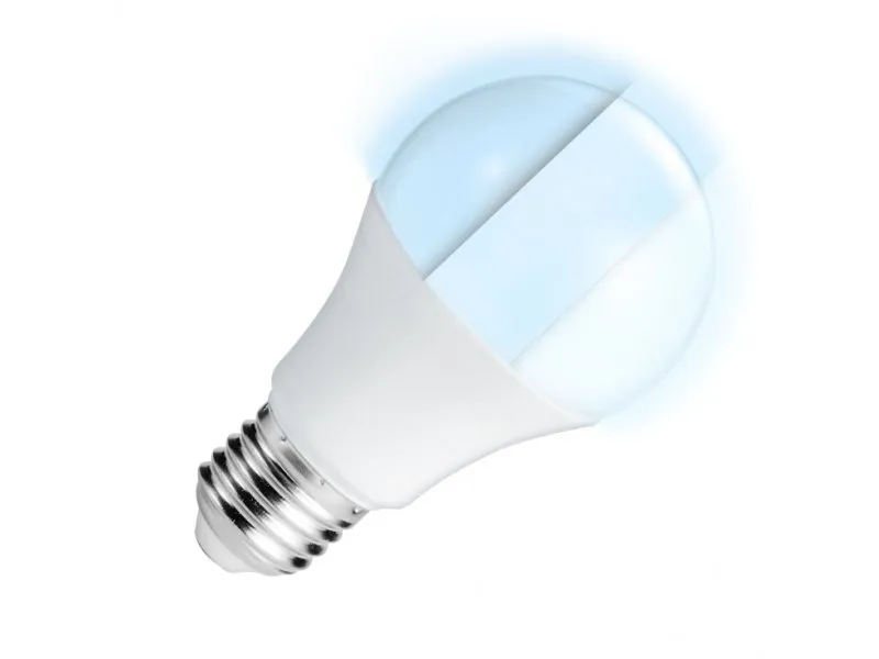 LED sijalica sa promenljivim inten. svetla 10W