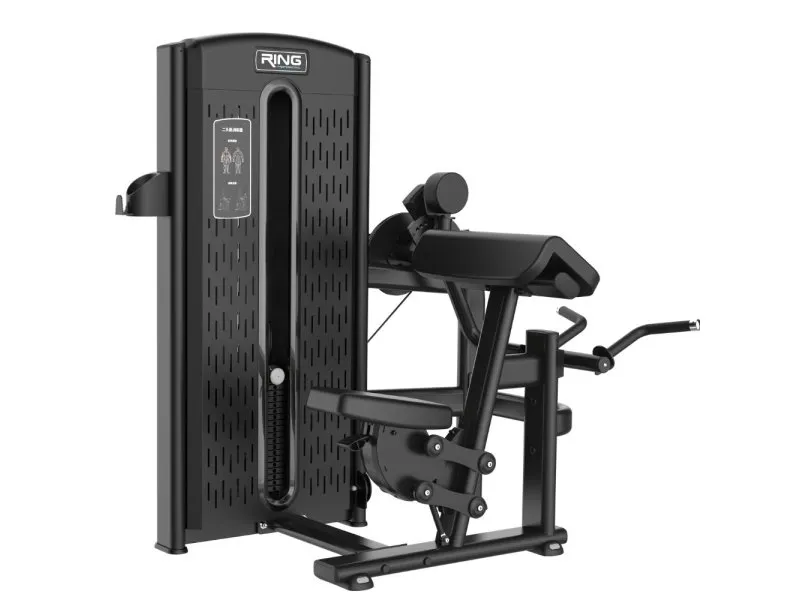 DUAL Biceps curl-Triceps extension (2 u 1-mašina za biceps i triceps)-RP INF-19