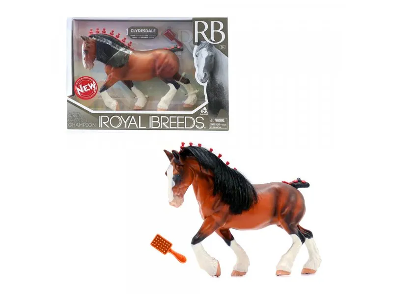 Royal breeds Konj šampion