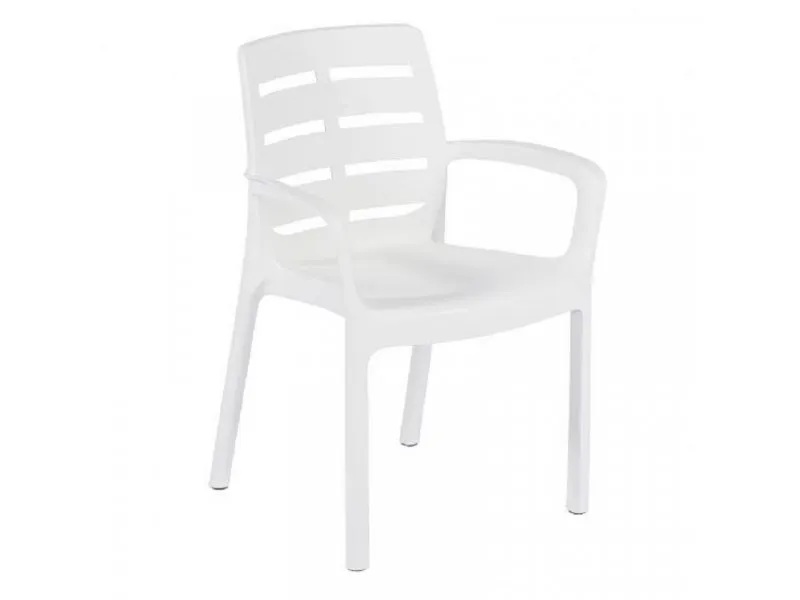 Stolica Borneo bela