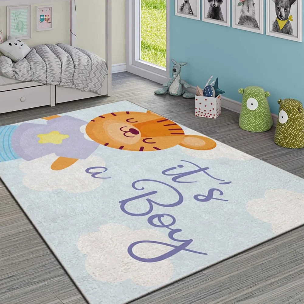 Tepih (80 x 140) Hmı Kdc 104