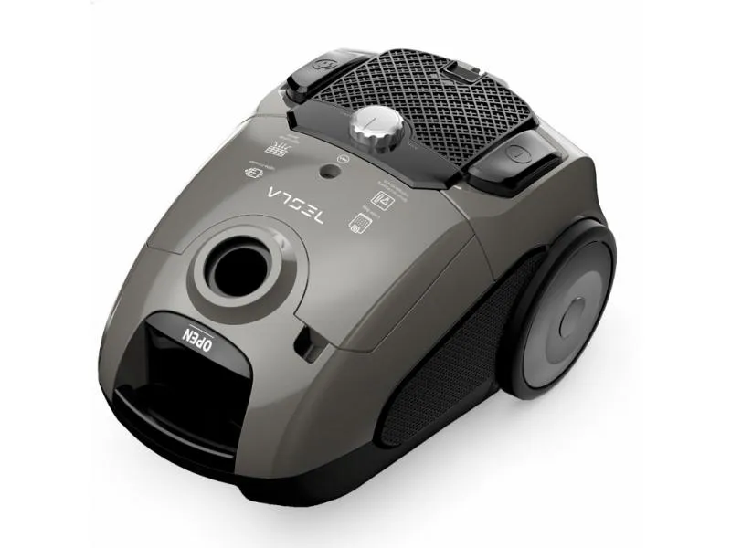 Usisivač BG300G/800W/sa kesom/siva