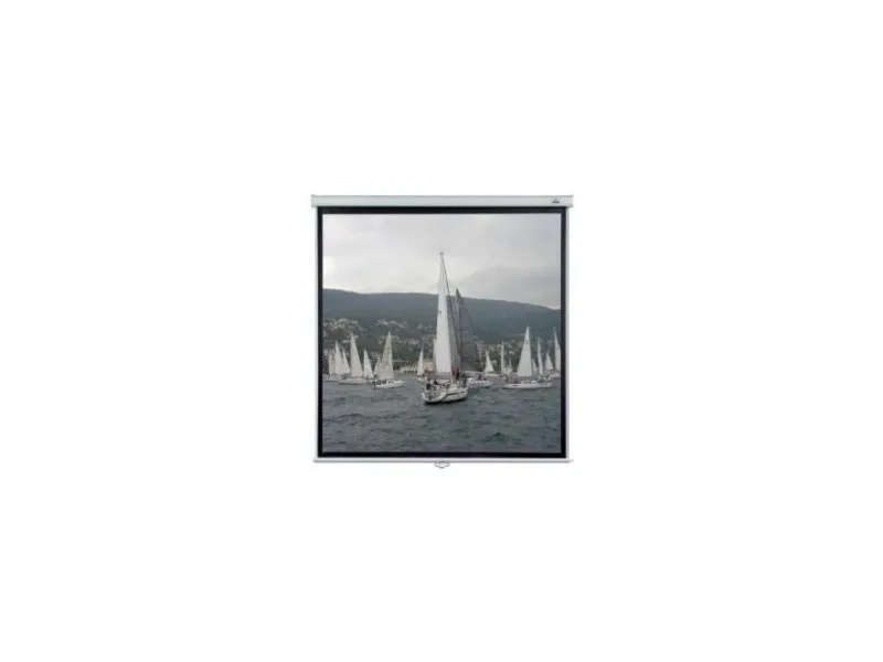 WS S 240 zidno platno