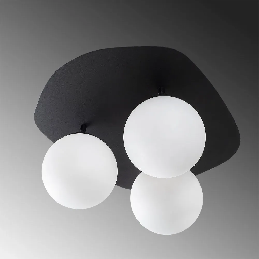 Well 11715 Crno - Beli luster