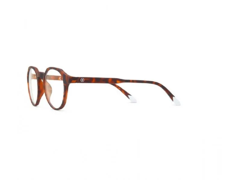 Zaštitne naočare za monitore Chamberi Tortoise