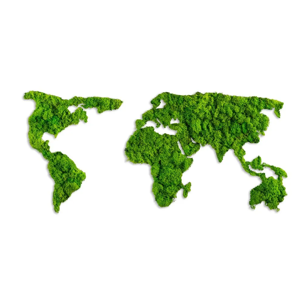 Zidna dekoracija World Map 11