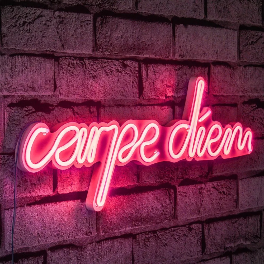 Zidna LED dekoracija Carpe Diem Pink