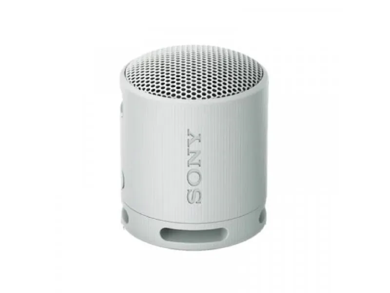 SRS-XB100 Grey Bluetooth zvučnik