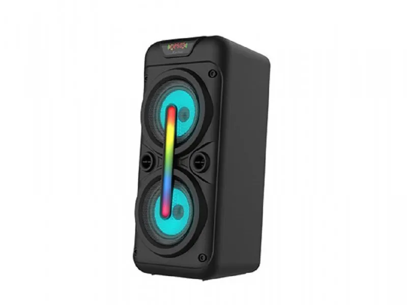 BT zvucnik DJ 555