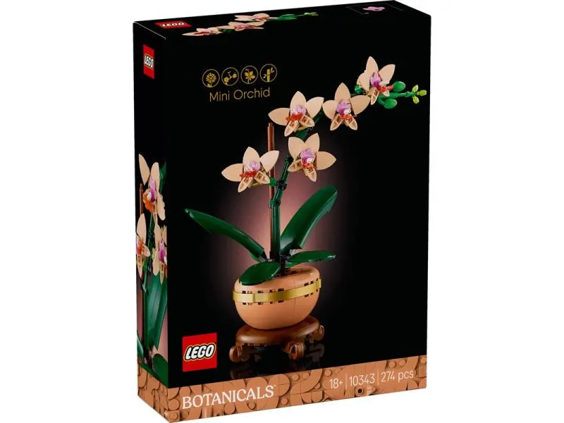 10343 Mini-orhideja