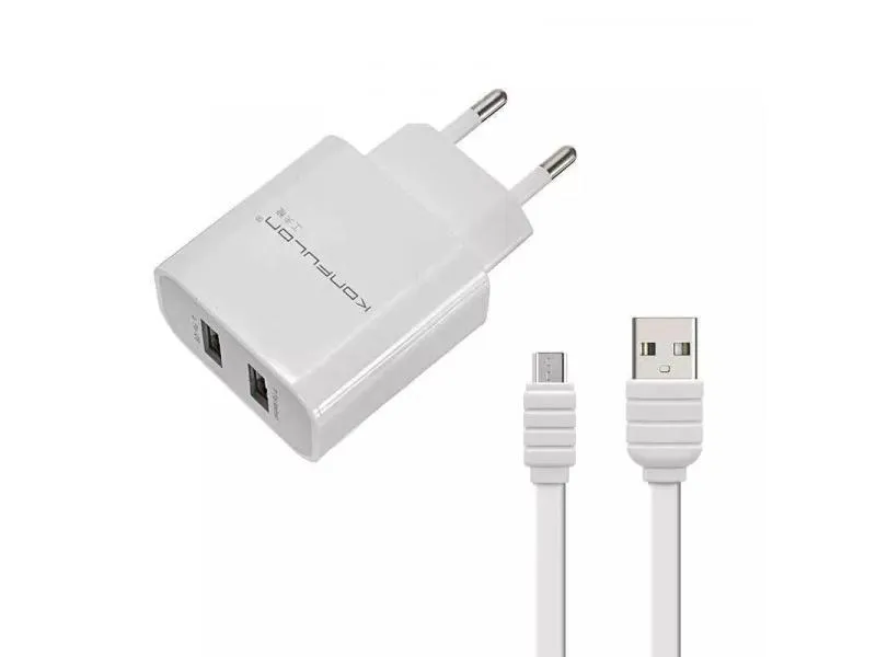 C18+S31A Kućni punjač sa micro USB kablom