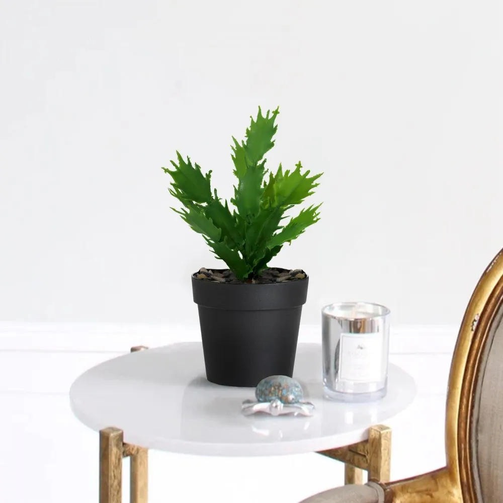 Decorative Pot Crno Zelena 241347