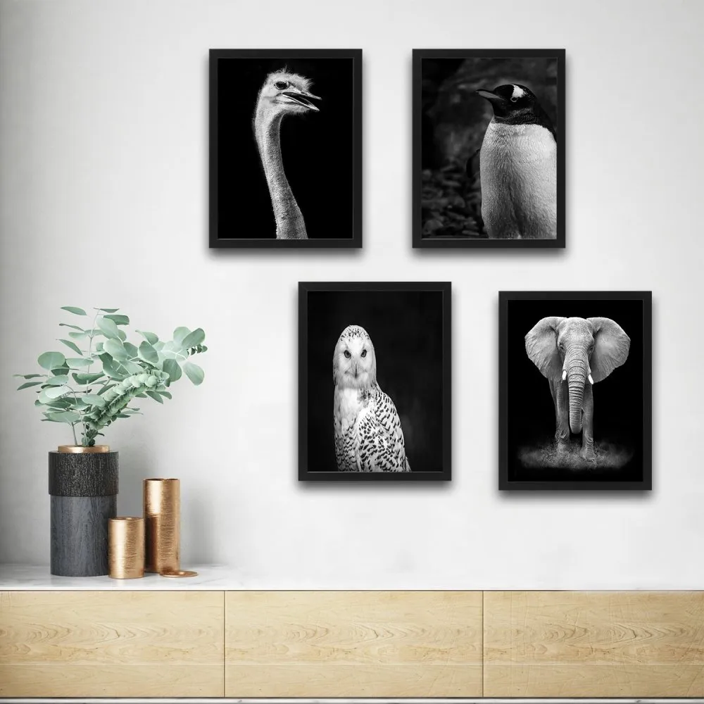 Dekorativna slika u okviru (4 komada) Elephant Set