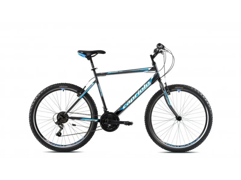 MTB Passion M 26'' sivo-plavi (923370-23)