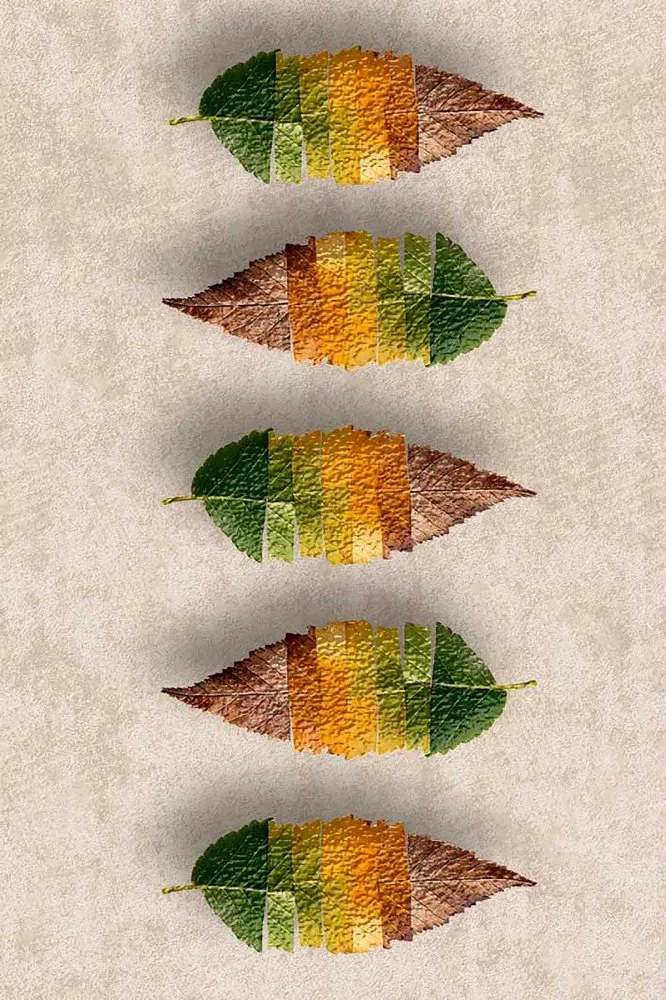 Multicolor tepih Hmnt 567 120 x 180 (476HFT2052)