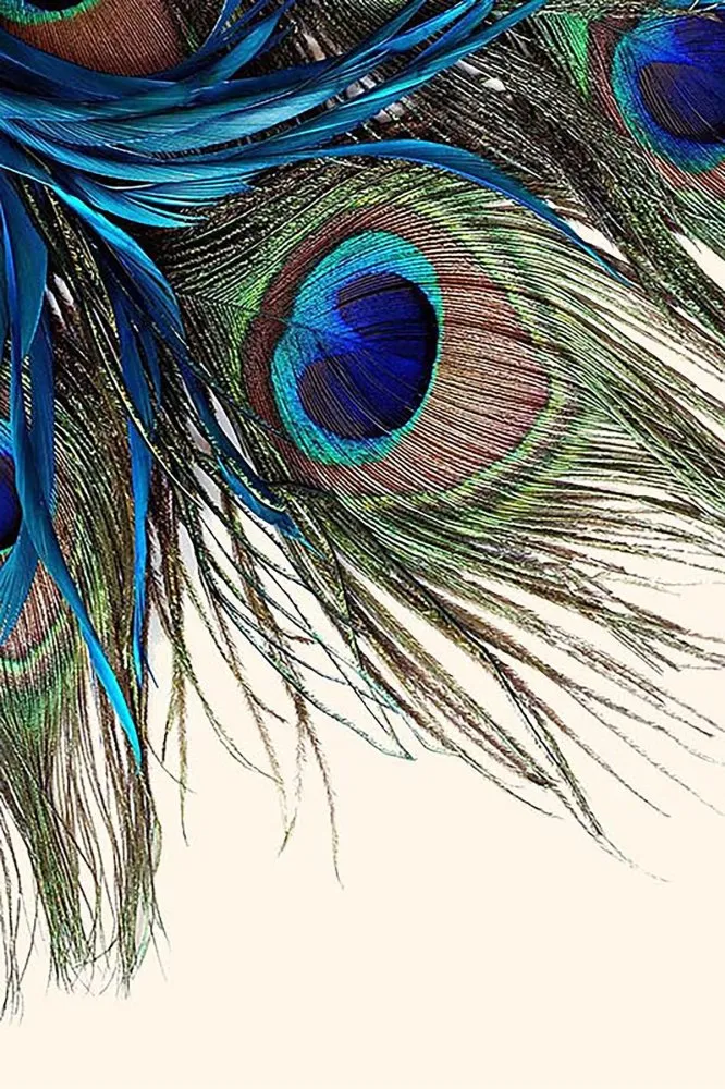 Multicolor tepih Hmnt 568 120 x 180 (476HFT2065)