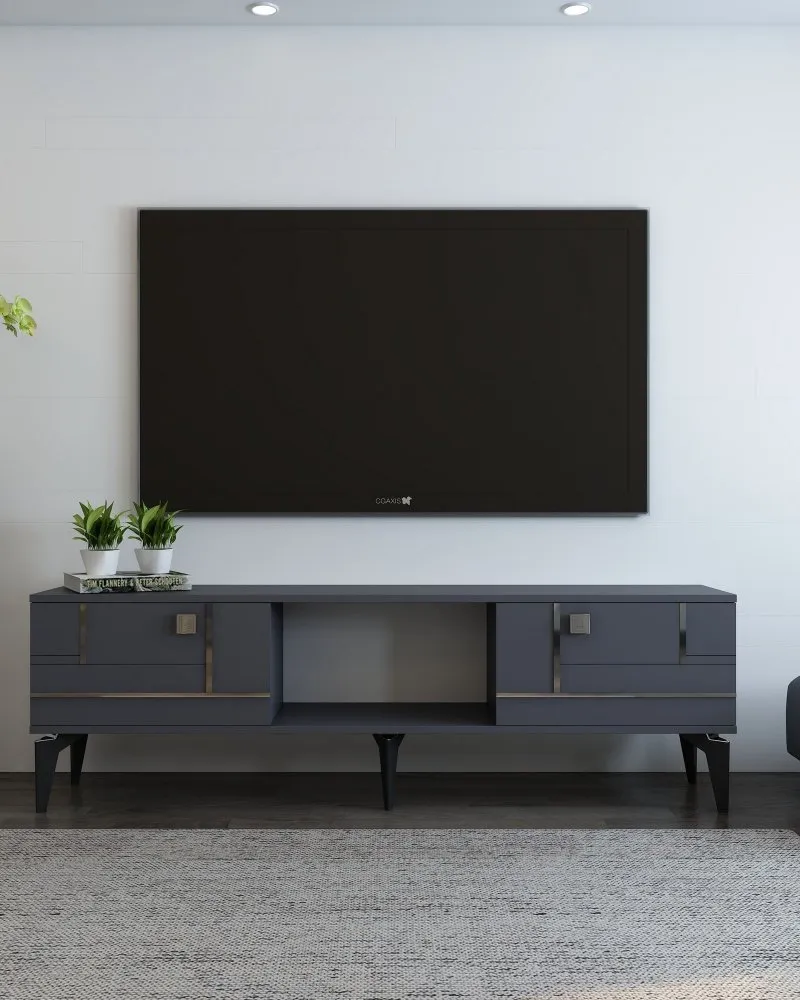 TV polica Madera Anthracite Silver