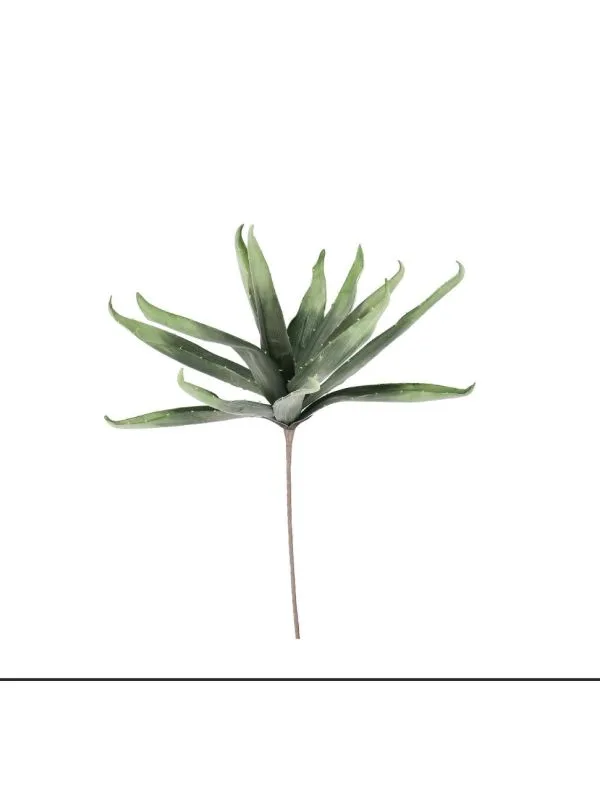DEKORATIVNA ALOE VERA BILJKA  80 CM 