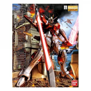 1/100 MG Sword Impulse Gundam