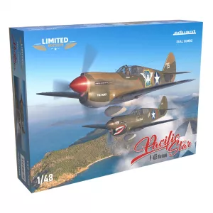1:48 Pacific Star P-40E Warhawk Dual Combo